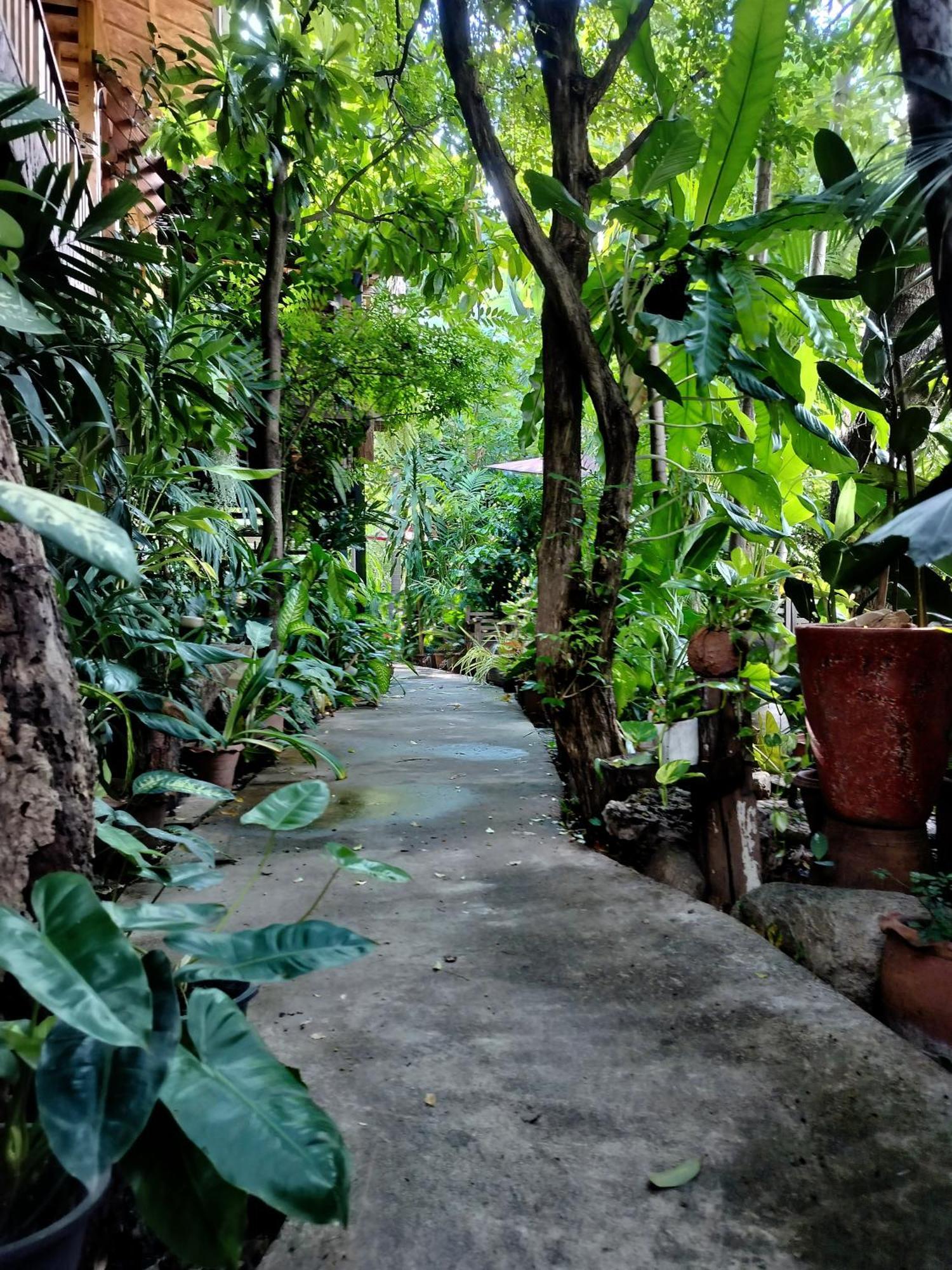 Khách sạn hẻo lánh Oldy De Garden 3*