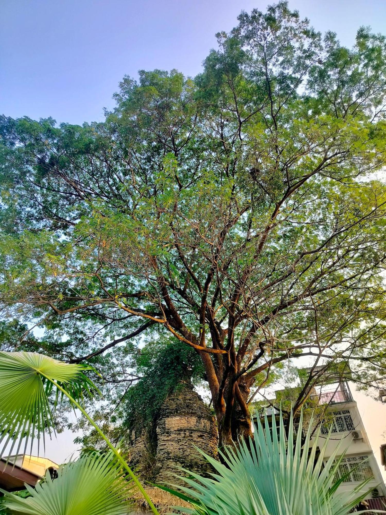 Khách sạn hẻo lánh Oldy De Garden Chiang Mai